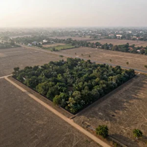 Sriperumbudur Open Plot